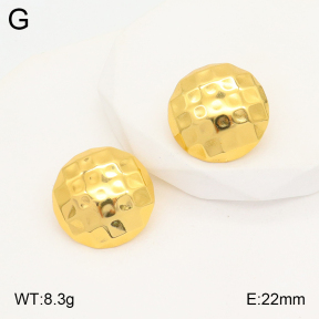 2E2005340aaio-703  Stainless Steel Earrings