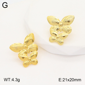 2E2005341aaio-703  Stainless Steel Earrings