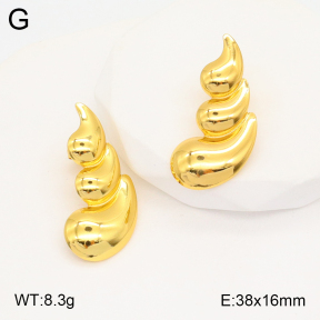 2E2005342aaio-703  Stainless Steel Earrings
