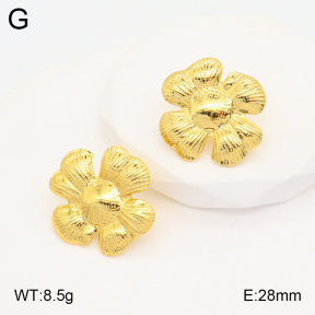 2E2005343aaio-703  Stainless Steel Earrings