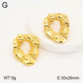 2E2005344aaio-703  Stainless Steel Earrings