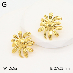 2E2005345aaio-703  Stainless Steel Earrings