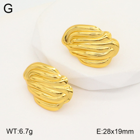 2E2005346aaio-703  Stainless Steel Earrings
