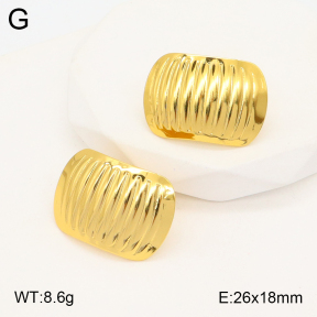 2E2005347aaio-703  Stainless Steel Earrings
