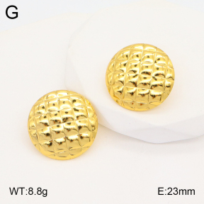 2E2005348aaio-703  Stainless Steel Earrings