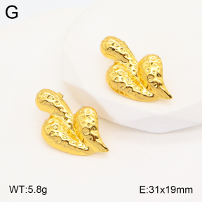 2E2005350aaio-703  Stainless Steel Earrings
