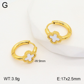 2E3003090aakl-703  Stainless Steel Earrings