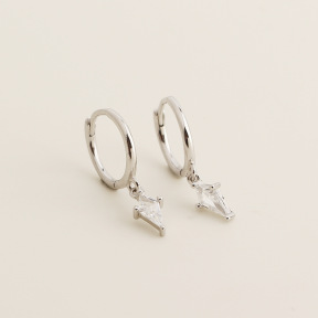 JE7705bibo-Y05  925 Silver Earrings  WT:1.24g  20.8mm  ZH009