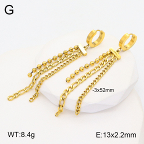 2E2005370vbpb-669  Stainless Steel Earrings