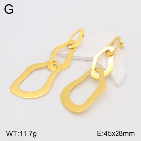 2E2005369baka-480  Stainless Steel Earrings