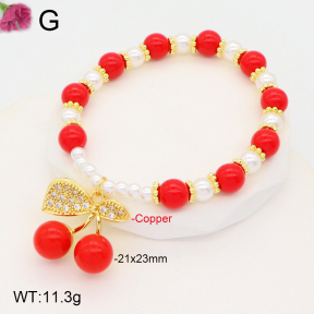 F2B300949vbnl-J81  Fashion Copper Bracelet