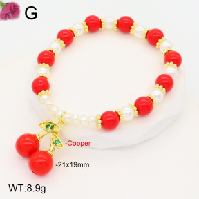 F2B300950vbnl-J81  Fashion Copper Bracelet