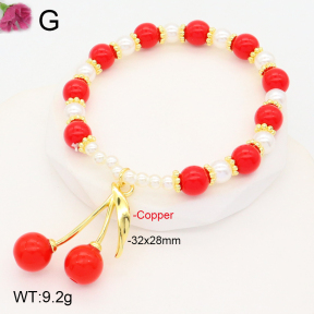 F2B300954vbnl-J81  Fashion Copper Bracelet