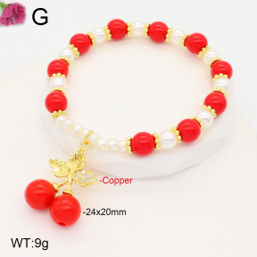 F2B300956vbnl-J81  Fashion Copper Bracelet
