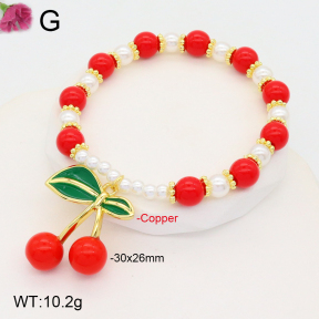 F2B300957vbnl-J81  Fashion Copper Bracelet