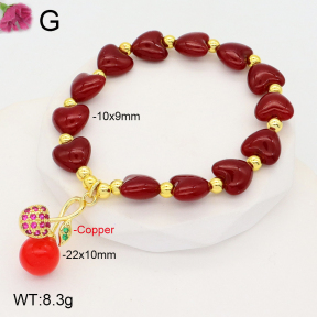 F2B300963vbnl-J81  Fashion Copper Bracelet