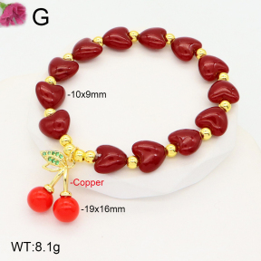 F2B300964vbnl-J81  Fashion Copper Bracelet