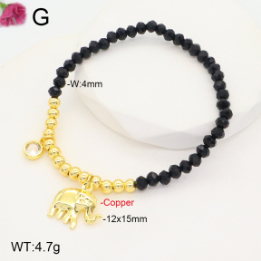 F2B402111ablb-J81  Fashion Copper Bracelet