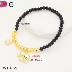 F2B402112ablb-J81  Fashion Copper Bracelet