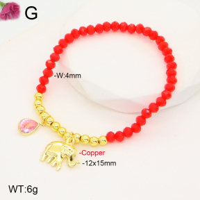 F2B402119ablb-J81  Fashion Copper Bracelet
