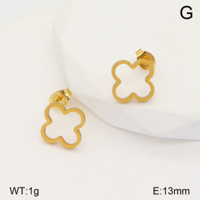 2E2005371aahi-704  Stainless Steel Earrings