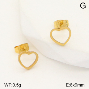 2E2005372aahi-704  Stainless Steel Earrings