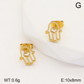 2E2005373aahi-704  Stainless Steel Earrings