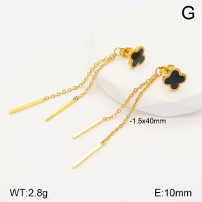 2E4004128vbll-704  Stainless Steel Earrings