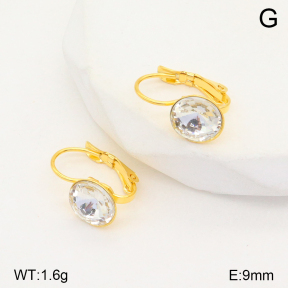 2E4004129aajl-704  Stainless Steel Earrings