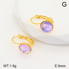 2E4004130aajl-704  Stainless Steel Earrings