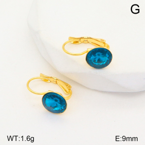 2E4004131aajl-704  Stainless Steel Earrings