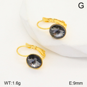 2E4004132aajl-704  Stainless Steel Earrings
