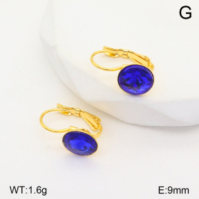 2E4004133aajl-704  Stainless Steel Earrings