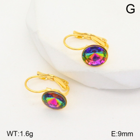 2E4004134aajl-704  Stainless Steel Earrings