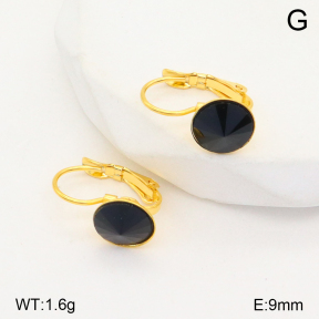 2E4004135aajl-704  Stainless Steel Earrings