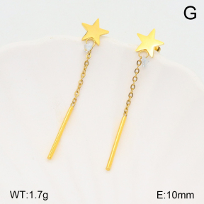 2E4004136aajl-704  Stainless Steel Earrings