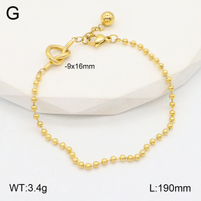 2B2003443vbnl-250  Stainless Steel Bracelet