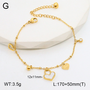 2B3003537vbnl-250  Stainless Steel Bracelet
