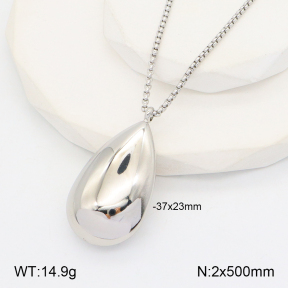 2N2005185bhva-649  Stainless Steel Necklace