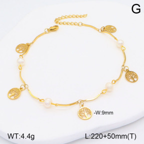 2A9001497vbnb-350  Stainless Steel Anklets