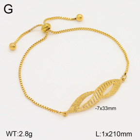 2B2003448vbnb-747  Stainless Steel Bracelet