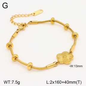 2B2003453vbnb-747  Stainless Steel Bracelet