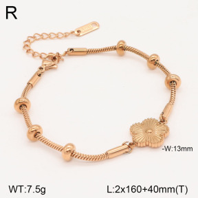2B2003454vbnb-747  Stainless Steel Bracelet