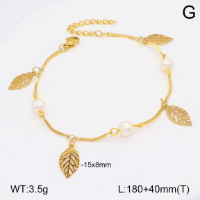 2B3003570vbnb-350  Stainless Steel Bracelet