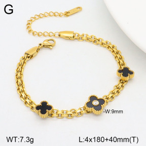 2B4004355bbov-747  Stainless Steel Bracelet