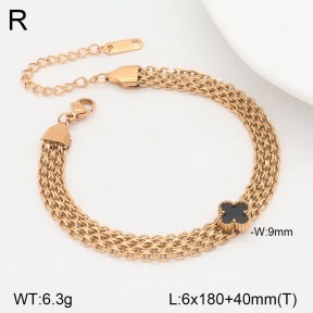 2B4004363vbnb-747  Stainless Steel Bracelet