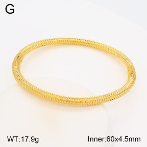 2BA201760vbpb-377  Stainless Steel Bangle