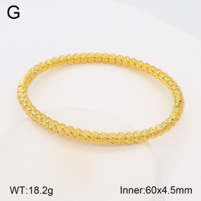 2BA201762vbpb-377  Stainless Steel Bangle