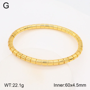 2BA201763bbov-377  Stainless Steel Bangle