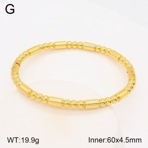 2BA201764vbpb-377  Stainless Steel Bangle